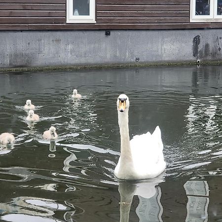 Lovely Canal Boat In Little Venice For Family & Friends Londres Exterior foto